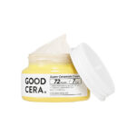 Holika Holika Good Cera 72ωρη Ενυδατική Κρέμα Προσώπου για Κανονικές/Ξηρές Επιδερμίδες με Υαλουρονικό Οξύ & Aloe Vera 60ml